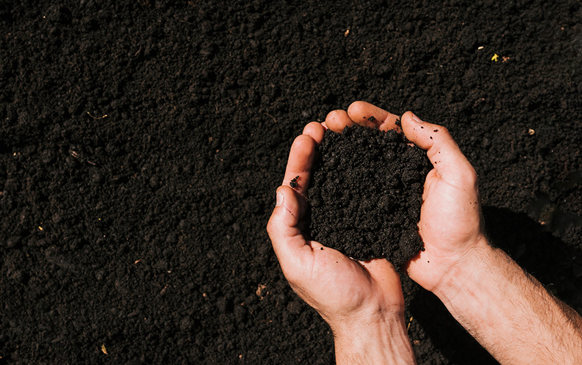 Почва - основной производственный ресурс агрария
